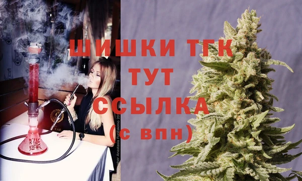 mix Пересвет