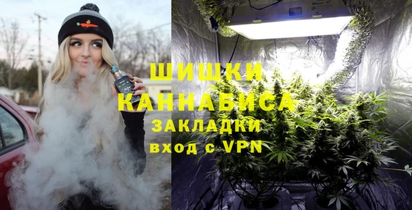 стаф Пестово