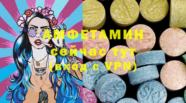 дмт Переславль-Залесский