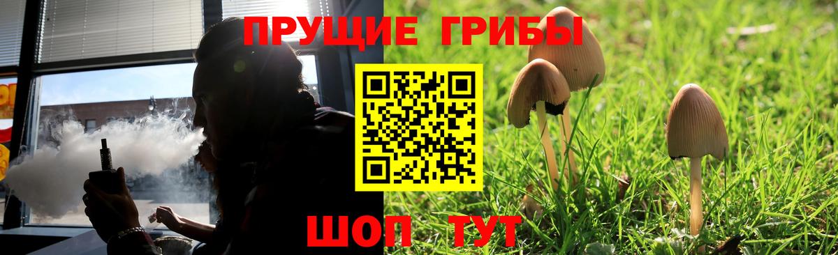 Альфа ПВП Карасук